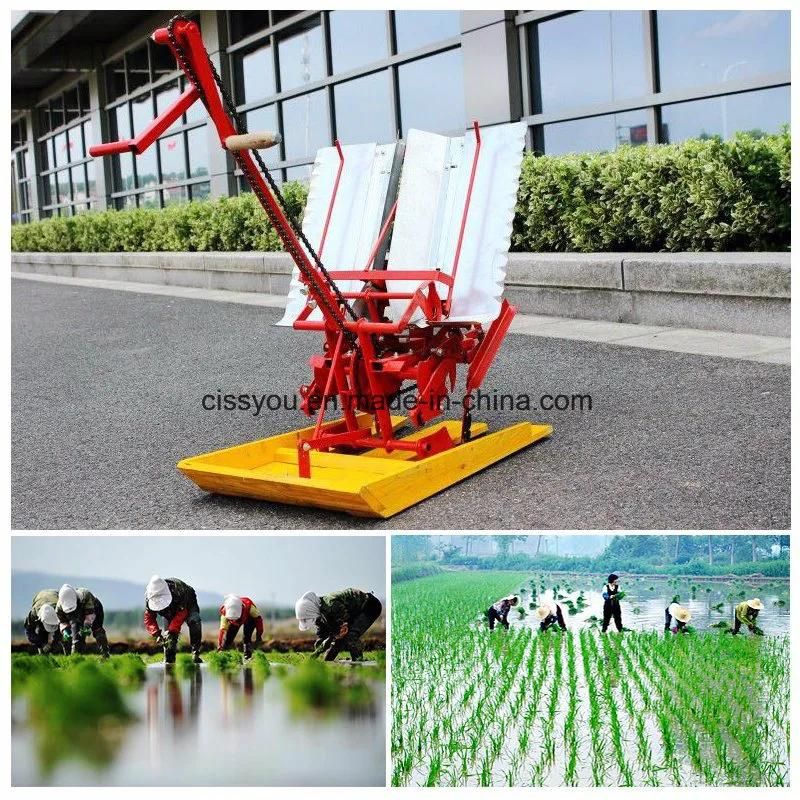 Portable Rice Paddy Transplanter Planting Planter Machine (WS630)