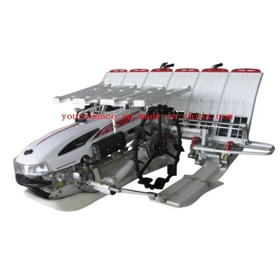 High Quality 2zx-625 6 Rows 250mm Rows Width Walking Type Rice Transplanter Hot Sale in ...