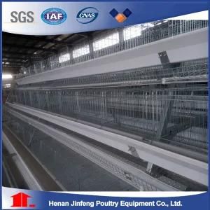 Professional Supply Poultry Farm Equipment Chicken Cage