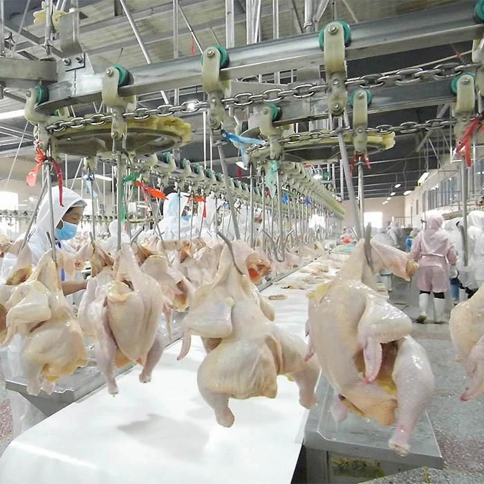New Technology with ISO9001 Poultry Chicken Processing Production Line