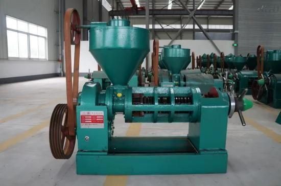 High Quality Cotton Seeds Sunflower Seed Oil Press Machine (YZYX95-1C)