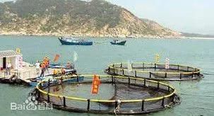 Deep Water Opening Aquaculture Fish Net Cage