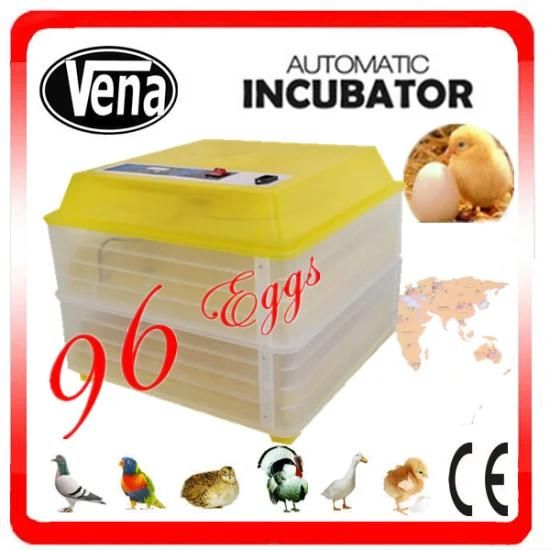 Hot Sale! Va-96 Model Automatic Baby Incubator