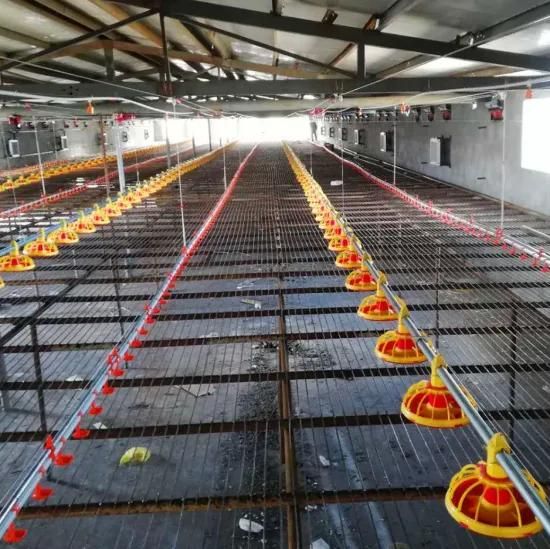 Automatic Poultry Farm Equipment for Broiler Chicken/Breeder Chicken and Layer Chicken