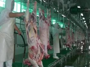 Complete Goat Slaughter Machine Skinning Sheep Slaughtering Equipment