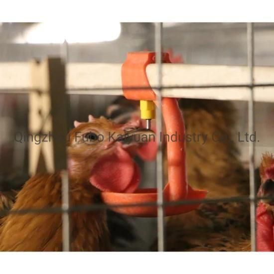 Manufacturer Chicken Coop Equipment for Broiler/Breeder/Poultry House