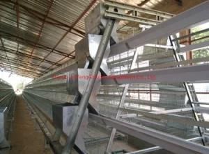 Automatic Poultry Equipment for Chicken Feeding System
