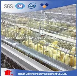 Poultry Farm Baby Chicken Cage