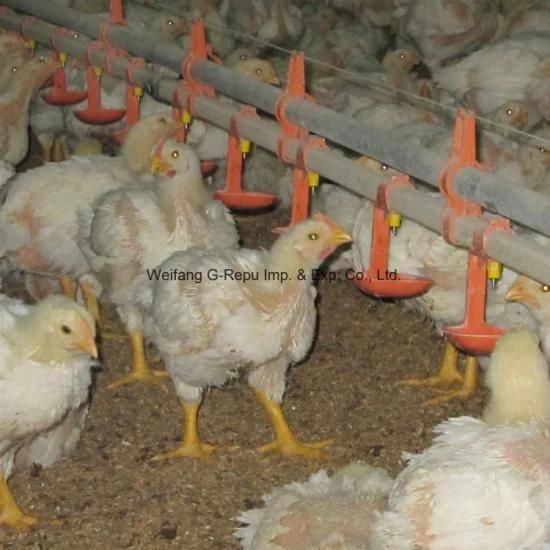 Automatic New Type Poultry Nipple Drinkers for Chicken House