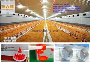 Feed Pan for Chicken in Poultry House with Full Set Equipment