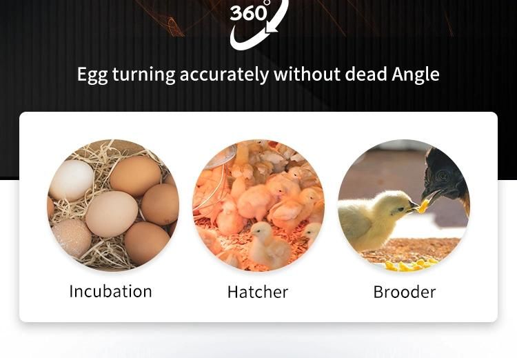 Hhd New List 1000 Chicken Egg Incubator Superior Design with Convenient Operation