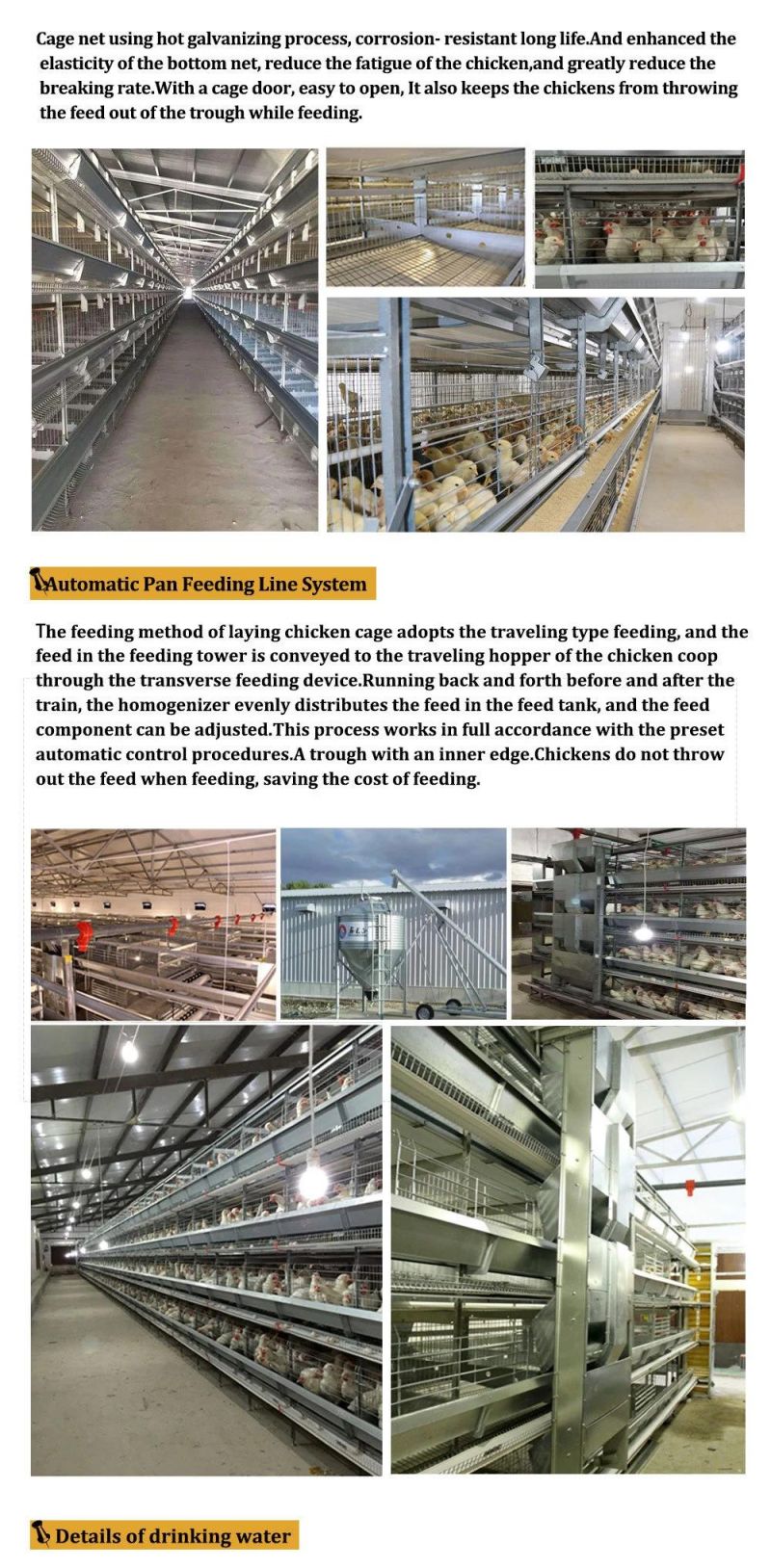 Low Cost Steel Frame Broiler Chicken House with Automatic System