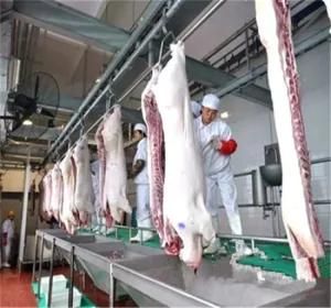 Pig Bleeding Conveyor for Large Slaughterhouse
