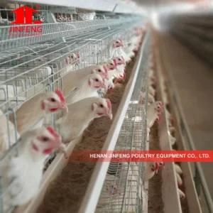 a Type 3-5tiers Poultry Farm Equipment Chicken Layer Cage