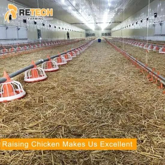 Hot Galvanized Broiler Chicken Farm Equipment with Feeding System