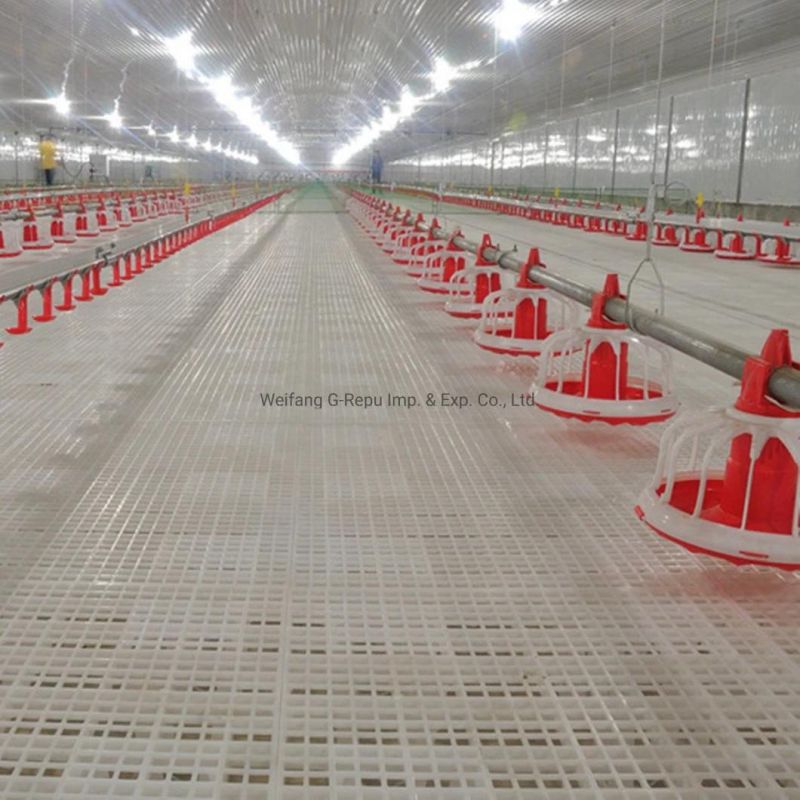 Easy Clean Plastic Leakage Dung Floor for Broiler Chicken House