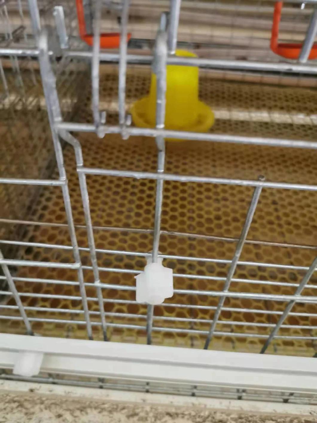Animal Cage for Chicken for Brolier for Layers for Rearing