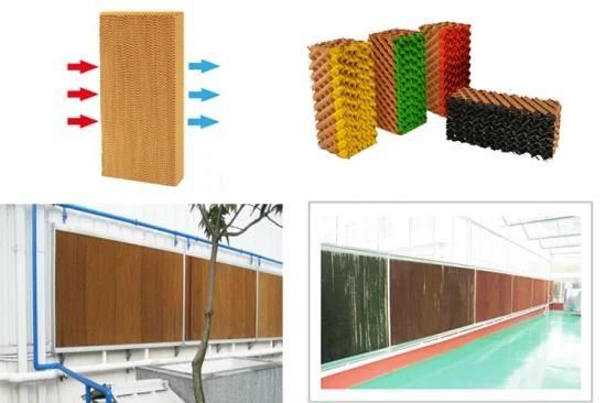 Kraft Paper Made Cooling Pad or Wet Curtain for Chicken Farm