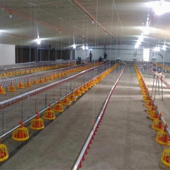 Full Automatic Poultry Farm Equipment for Layer Chicken