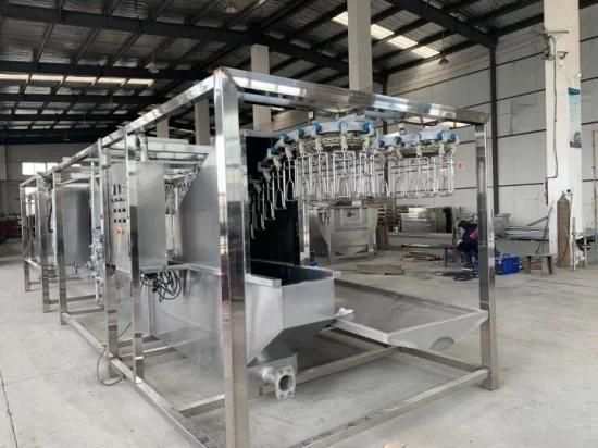 Professional Poultry Slaughter Line with CE Certificate