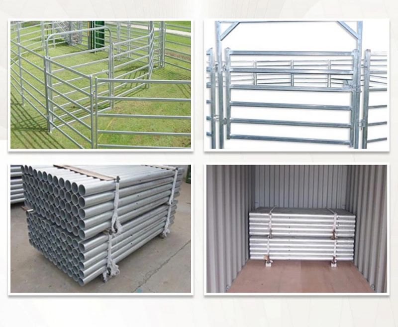 Manufacturer of High Quality Hot DIP Galvanized Cattle Fence/Deer Fence/Sheep Fence for Livestock
