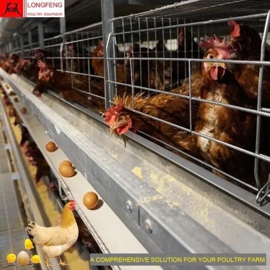 Hot Sale Computerized Poultry Farming Equipment with 1 Year Warranty
