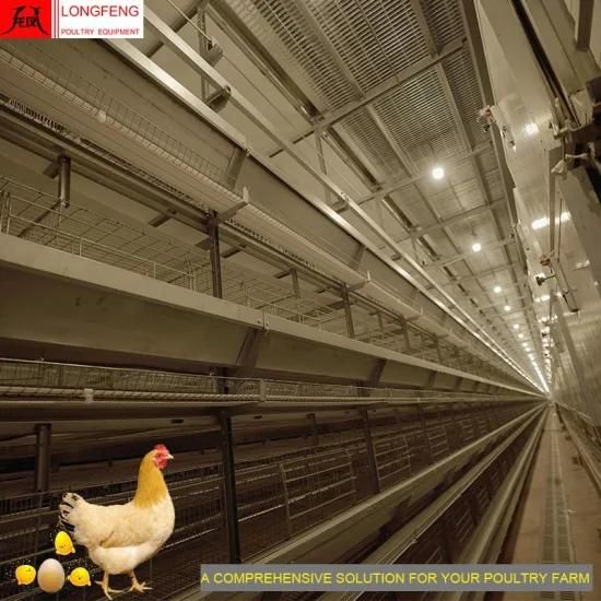Nipple Drinking Line ISO9001: 2008 Computerized Professional Poultry Farm Equipment 3-12 ...
