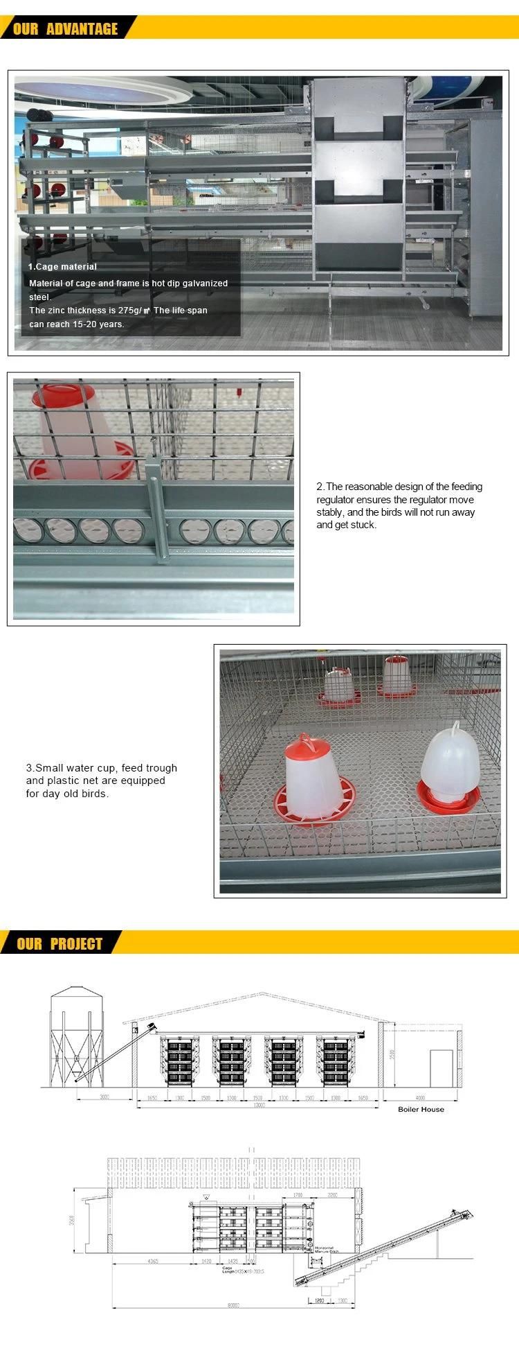 China Design H Type Hot Galvanized Chicken Pullet Cage