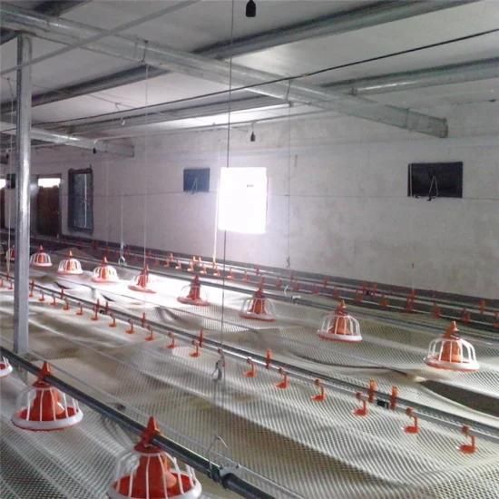 Stainless Steel Full Set Automatic Chicken Feeding System Poultry Farm