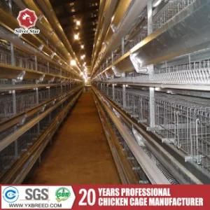 4-Tier a Type Poultry Layer Cage for Nigeria (A-4L120)