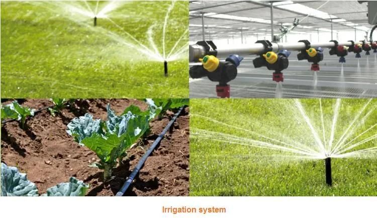 Auto Control Movable Sprinkler System for Greenhouse