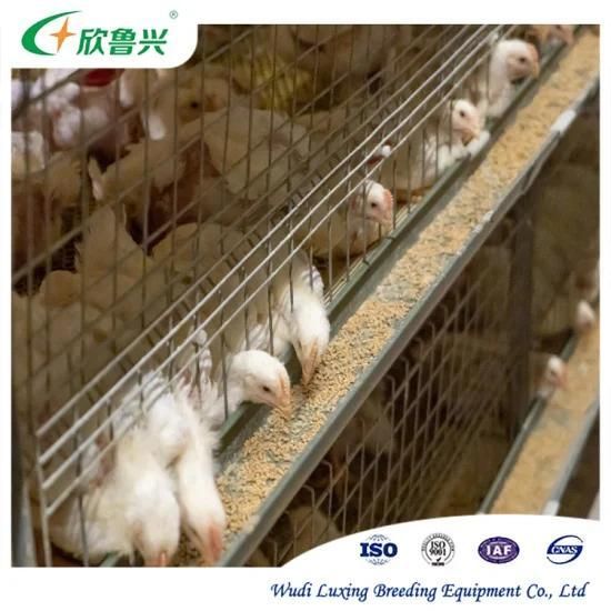 Factory Rearing Poultry Equipment H Type Meat Chicken Broiler Poultry Cage