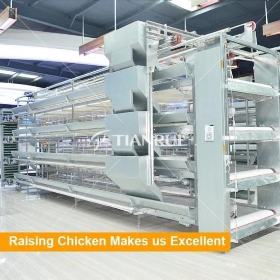 China High Quality Livestock Chicken Cages for Layer