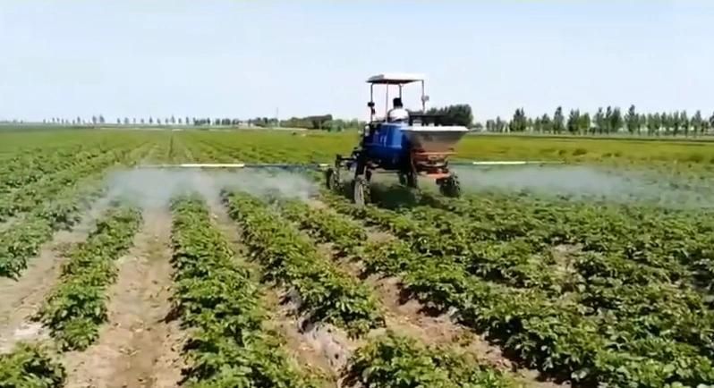 High Efficiency of 700 Liters Agricultural Sprayer, Diesel Engine Sprayer, with 12 Meters Spray Boom, Farm Machine