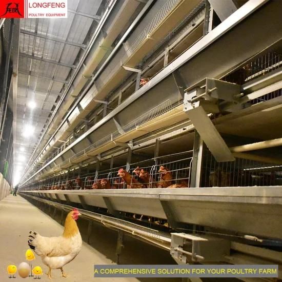Hot Sale 1 Year Warranty Poultry Chicken Equipment 96 Birds-384 Birds Per Set