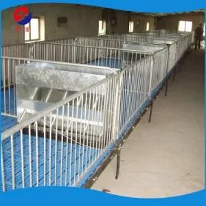 Cheap Farrowing Crates for Pigs/ Gestation Crate/ Fattening Room for Sale Pig Cage