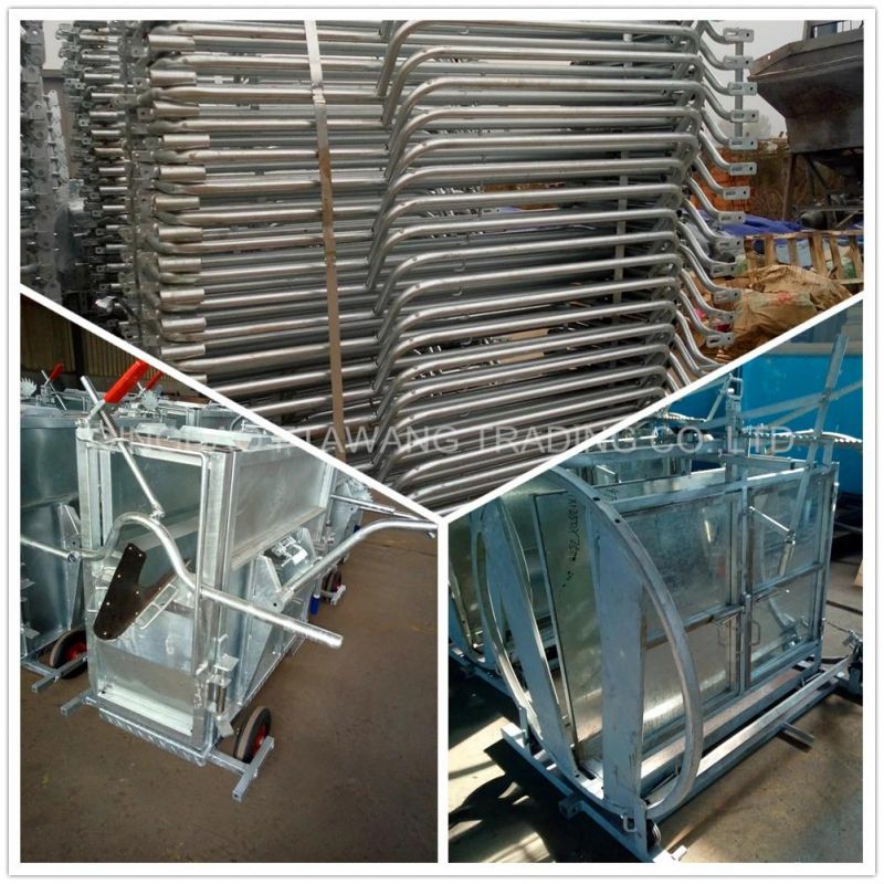 Galvanized Gestation Crate Pig Equipment Farrowing Bed