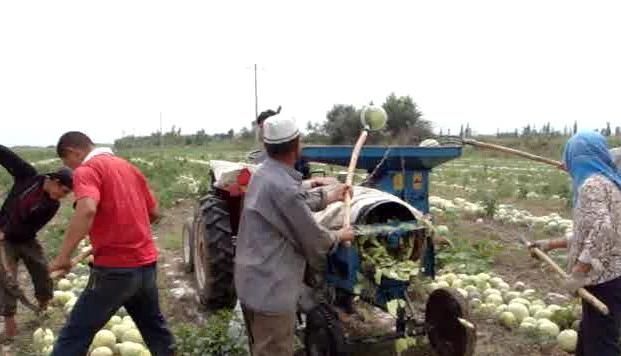 Hot Sale of Tractor Mounted Land Seed Melon Extracting Machine, Shelling Machine, Seeds Harvesting Machine