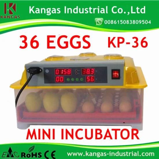 CE Marked 36 Eggs Incubator Automatic Small Poultry Incubator (KP-36)