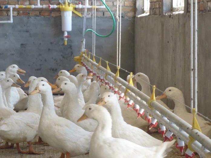 Poultry Duck Nipple Drinker Watering System