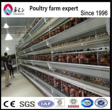 Poultry Farm Housedrawing for Broiler
