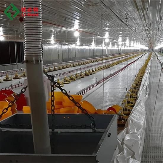 Poultry Farm Equipment in Pan Feeding Line