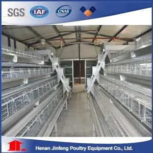 Poultry Equipment Battery Layer Chicken Cage with Wire Netting