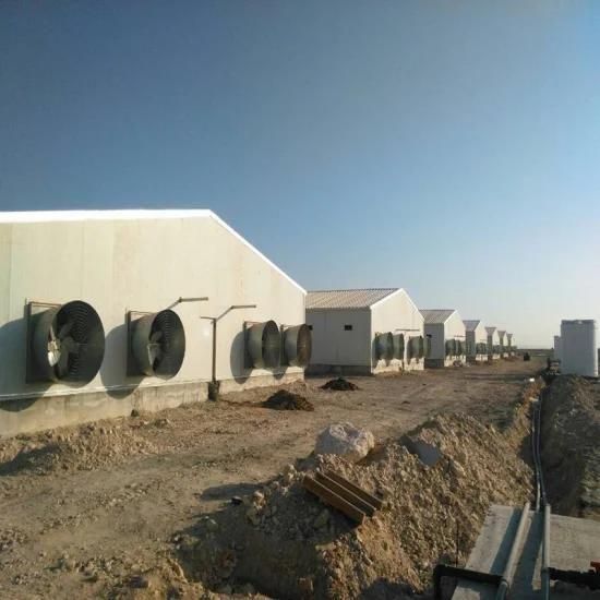 China Prefabricated Poultry House Layer/Broiler/Duck/Quail Farming Sealed House for Qatar