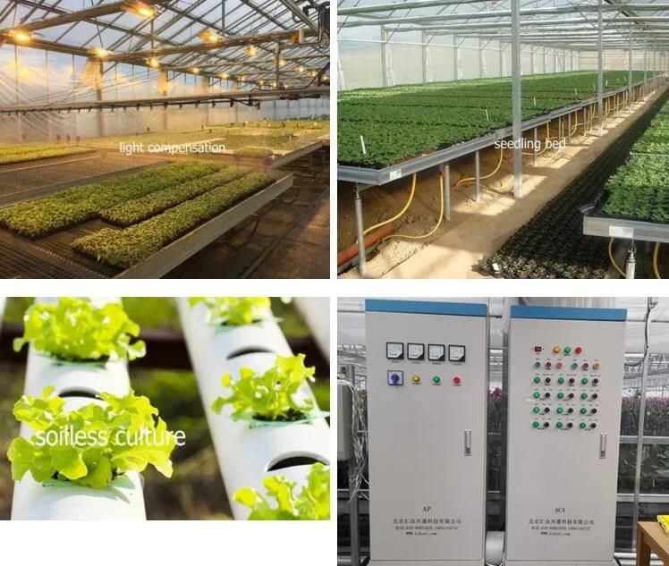 Water Saving Irrigation System for Greenhouse Growing
