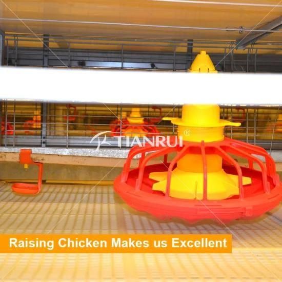 Belt Manure Removal Chicken Cage Machine for Broiler Cage