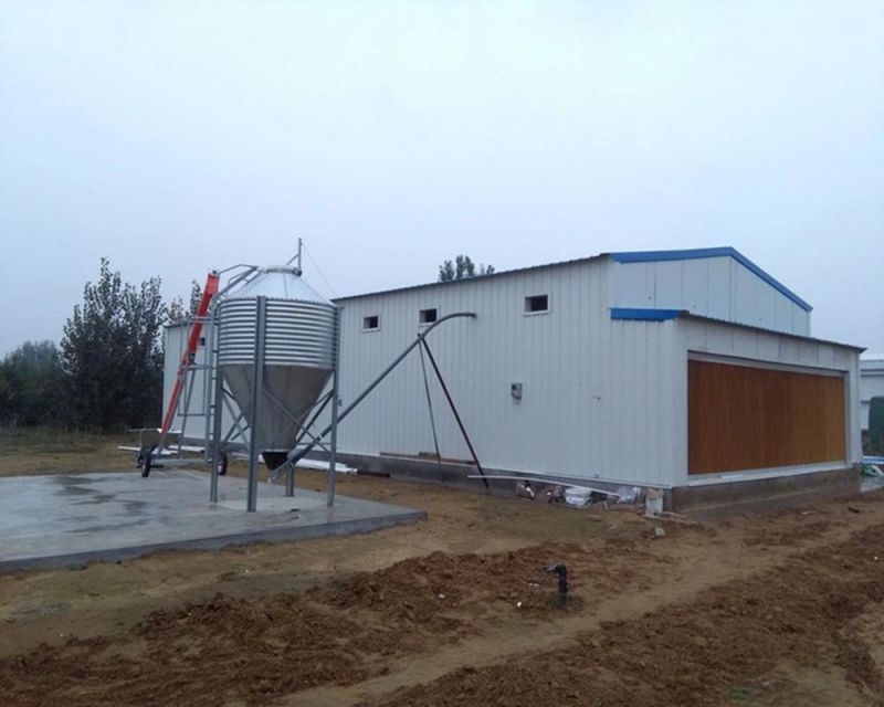 Cage Henhouse Spray System for Flat Raising Poultry House