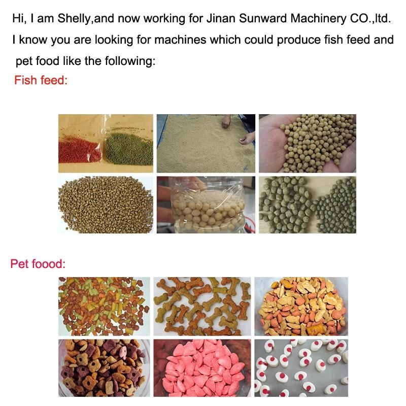 Jinan City Full Automatic Ocean Nutrition Fish Food Extruder Machinery