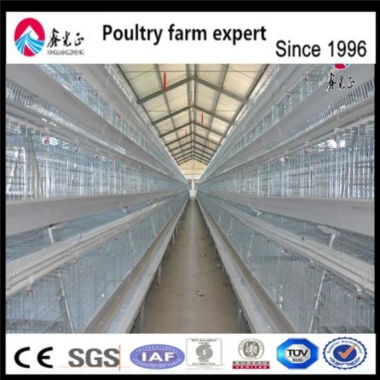 Modern Poultry Farm Automatic Breeding Steel Wire Mesh Battery Layer Chicken Cage