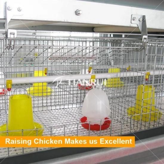 Automatic Pullet Battery Chicken Cage for Day Old Chicken/baby chicks